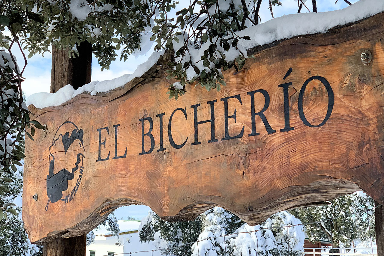 Cartel El Bicherío